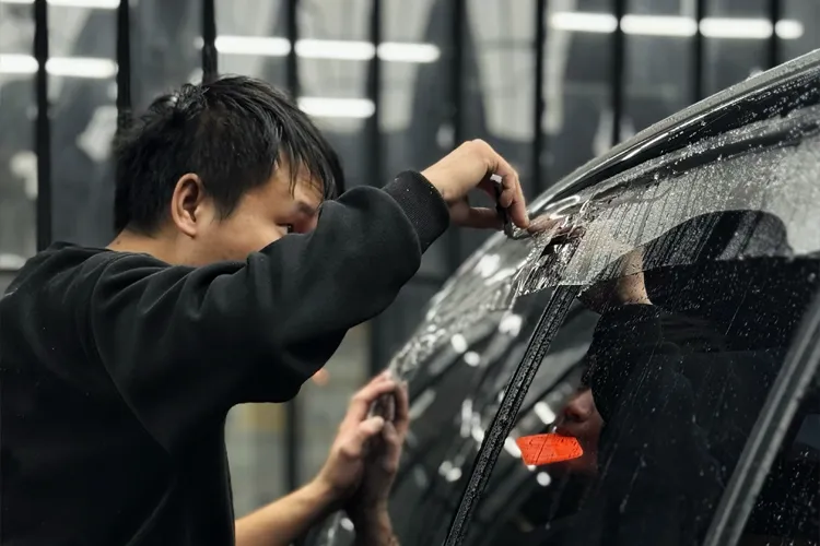 2-Película protectora de pintura