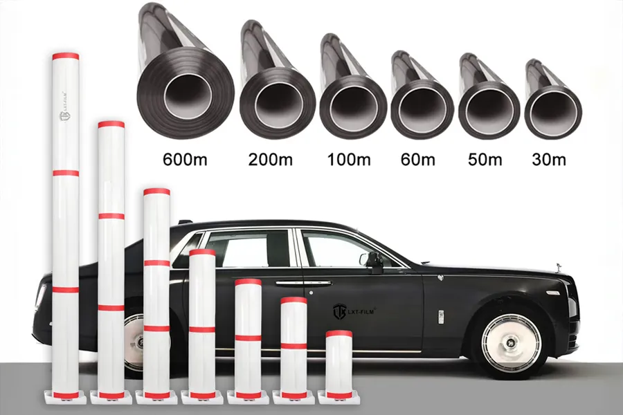 Size & Logistics Customization